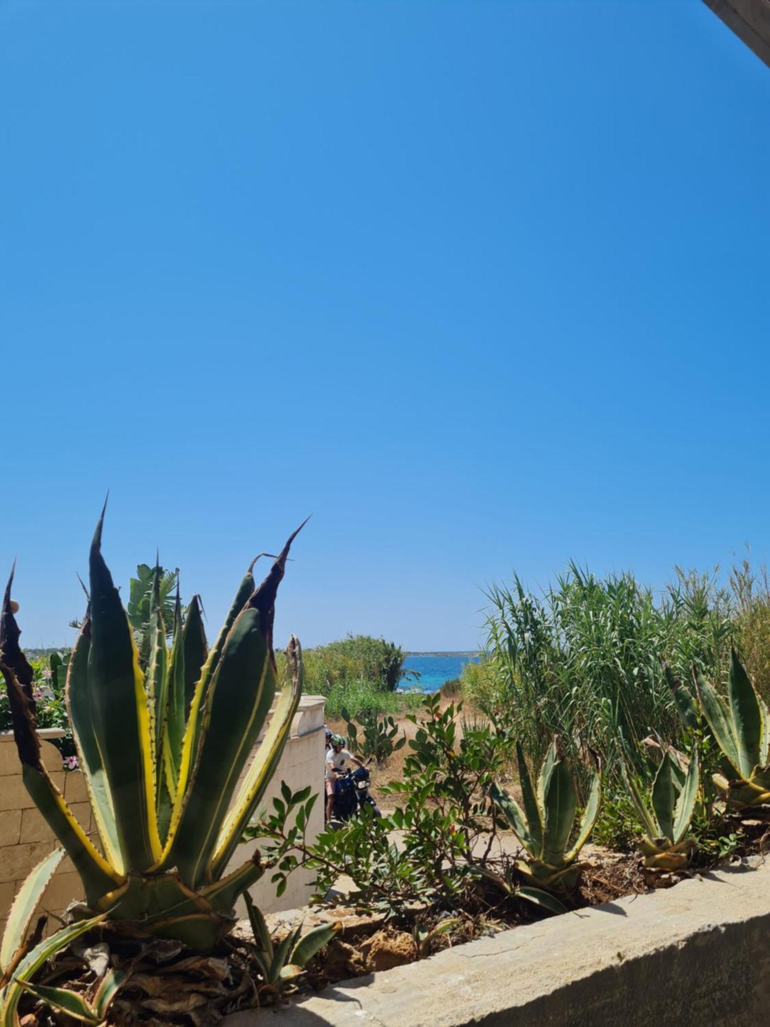Stella Marina Villa Sant Isidoro  Kültér fotó