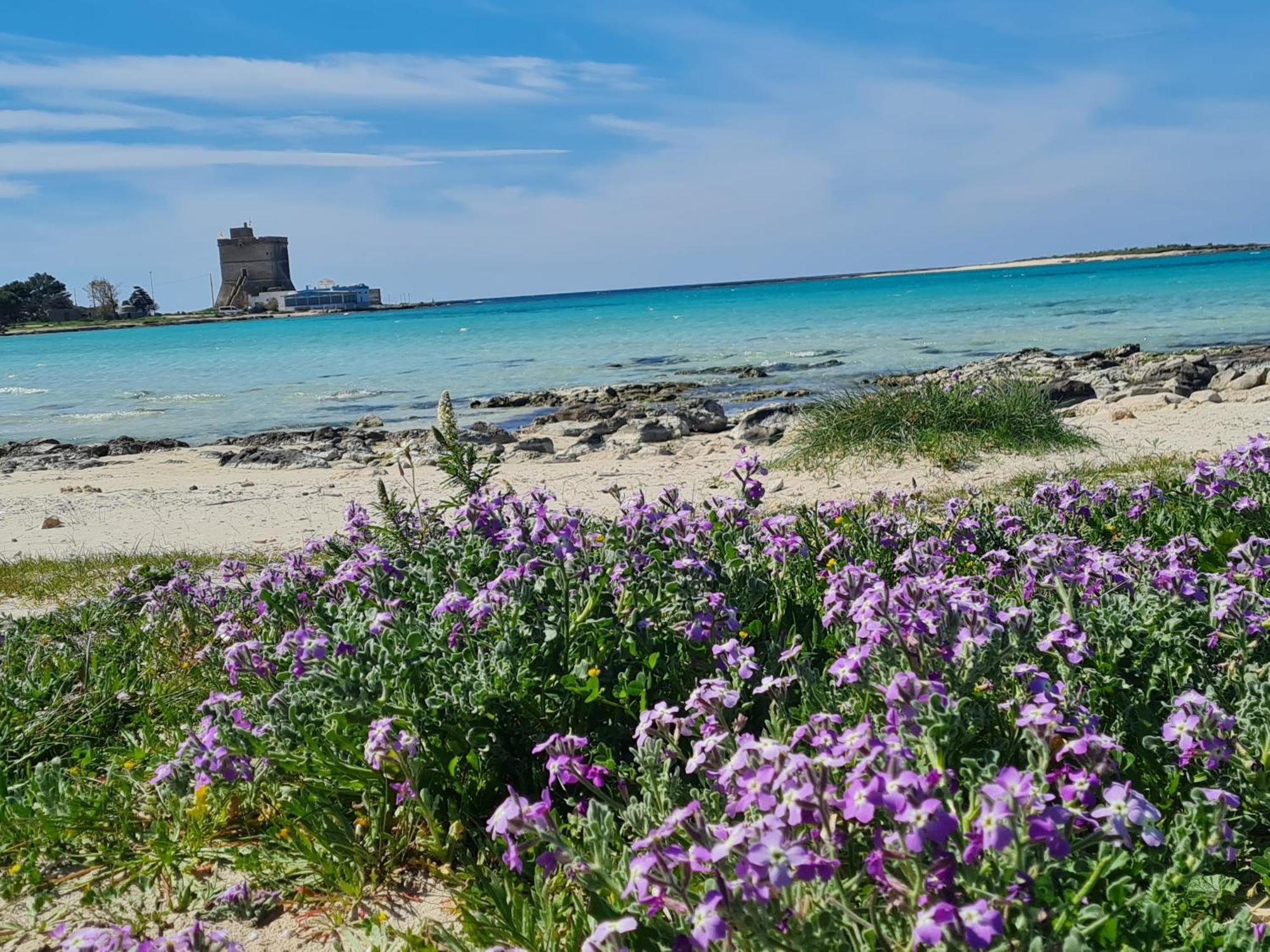 Stella Marina Villa Sant Isidoro  Kültér fotó