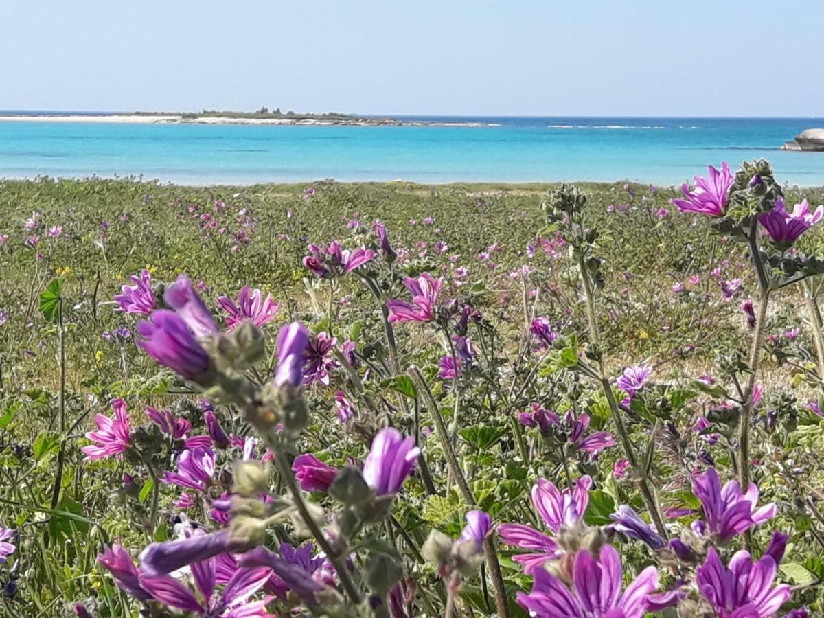 Stella Marina Villa Sant Isidoro  Kültér fotó